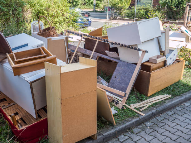 Best Professional Junk Removal  in South Haven, MI
